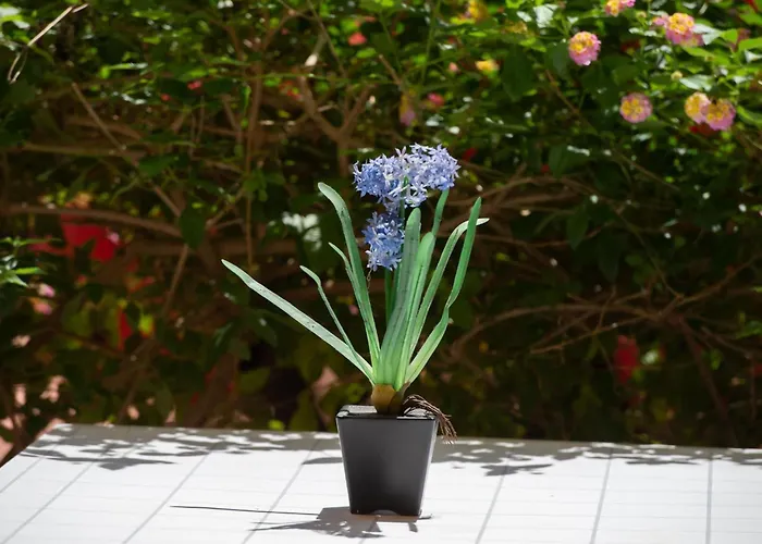 Segunda Linea De Mar En Playa De Aro Апартаменти Платжа-д'Ару